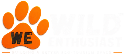 Wild Enthusiast