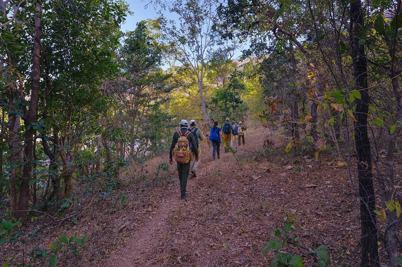 Nature Walks