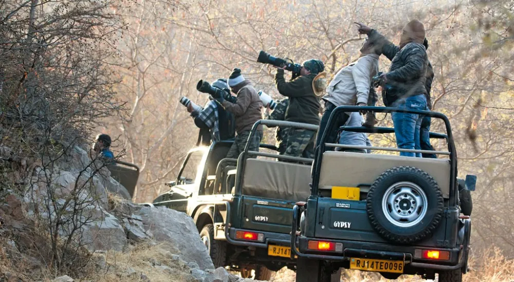 Jeep Safari